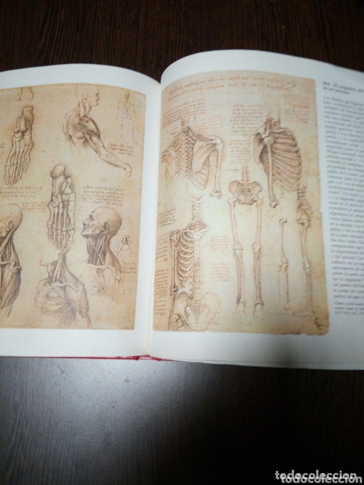 Libros de segunda mano: Dise&ntilde;os anatomicos de leonardo da vinci - Foto 4