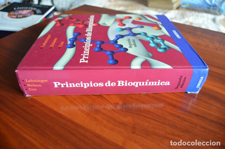 Libros de segunda mano: Principios de Bioqu&iacute;mica (Lehninger) - Foto 2