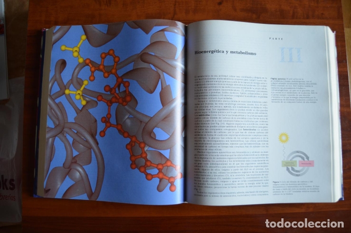 Libros de segunda mano: Principios de Bioqu&iacute;mica (Lehninger) - Foto 4