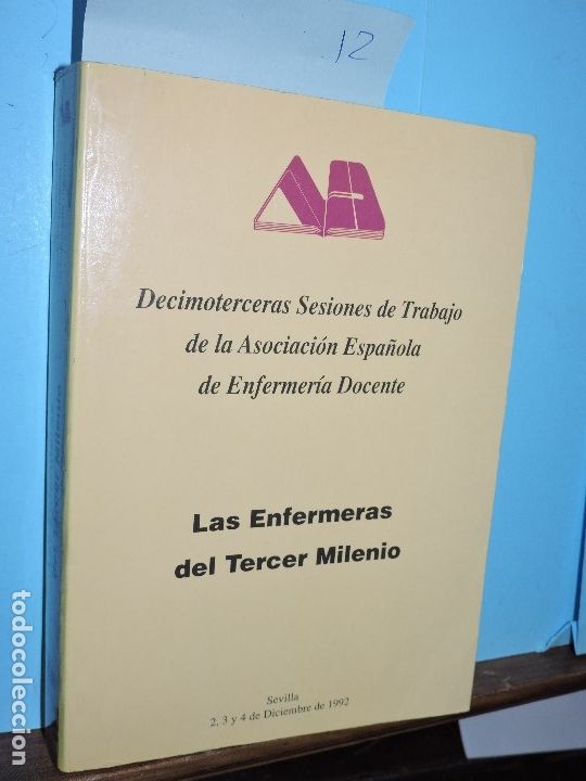 Libri di seconda mano: Las Enfermeras del Tercer Milenio. Decimoterceras Sesiones de Trabajo de la Asociaci&oacute;n Espa&ntilde;ola de