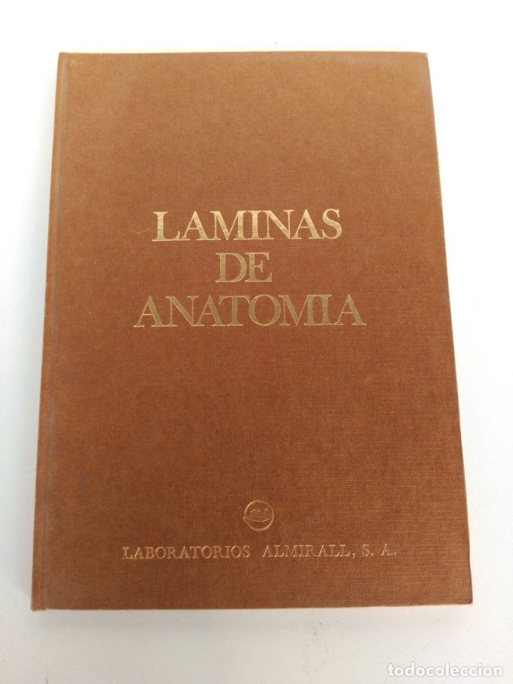 Libros de segunda mano: Libro l&aacute;mina de anatom&iacute;a - Foto 1