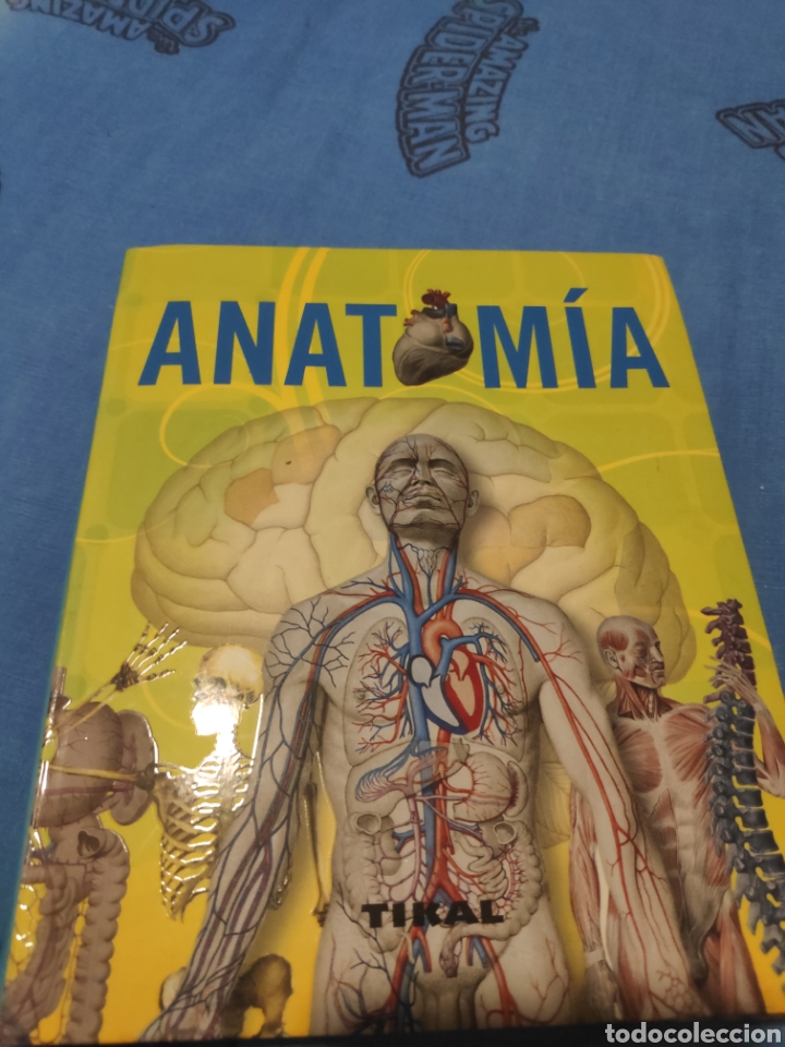 Libros de segunda mano: Anatom&iacute;a,tikal - Foto 1