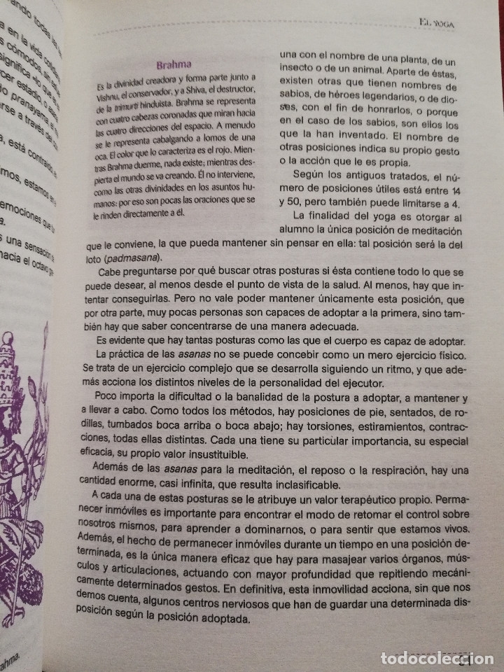 Libros de segunda mano: YOGA. TEOR&Iacute;A Y PR&Aacute;CTICA (FRANCESCA CHIAPPONI) LIBSA - Foto 13