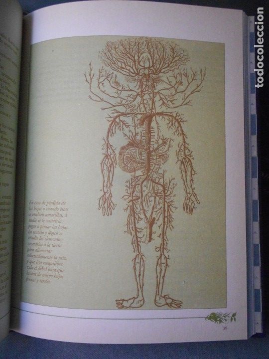 Libros de segunda mano: MEDICINA NATURAL. 8 TOMOS - Foto 24