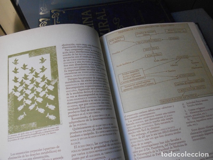 Libros de segunda mano: MEDICINA NATURAL. 8 TOMOS - Foto 42