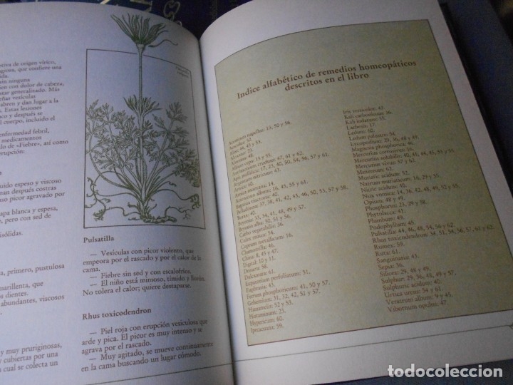 Libros de segunda mano: MEDICINA NATURAL. 8 TOMOS - Foto 43