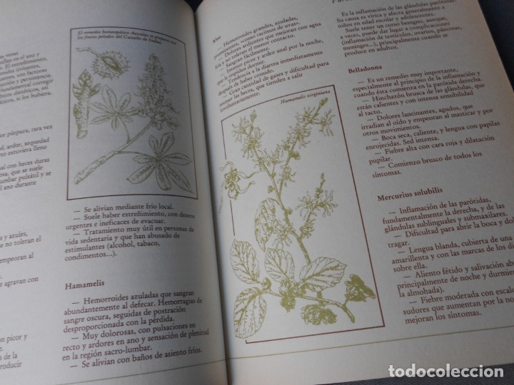 Libros de segunda mano: MEDICINA NATURAL. 8 TOMOS - Foto 44