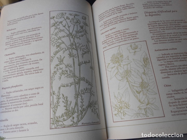 Libros de segunda mano: MEDICINA NATURAL. 8 TOMOS - Foto 45