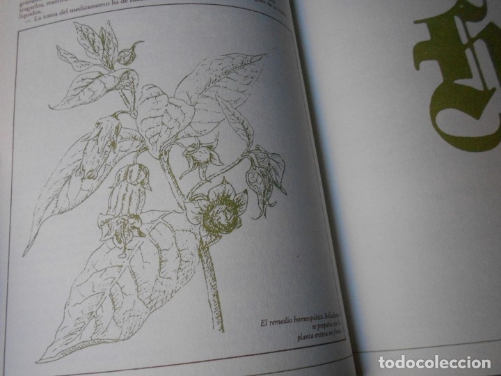 Libros de segunda mano: MEDICINA NATURAL. 8 TOMOS - Foto 46