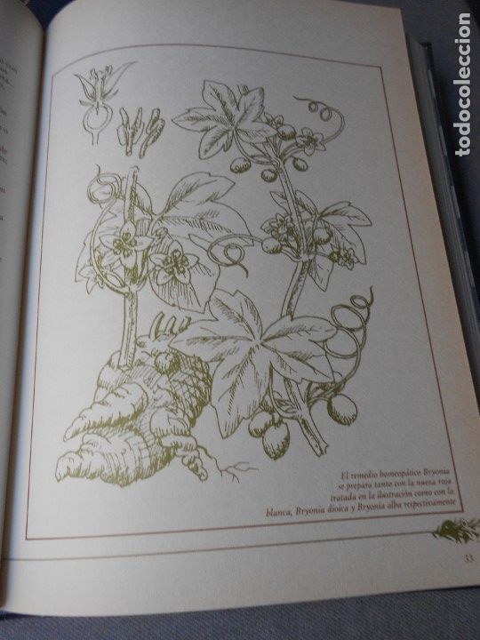 Libros de segunda mano: MEDICINA NATURAL. 8 TOMOS - Foto 47