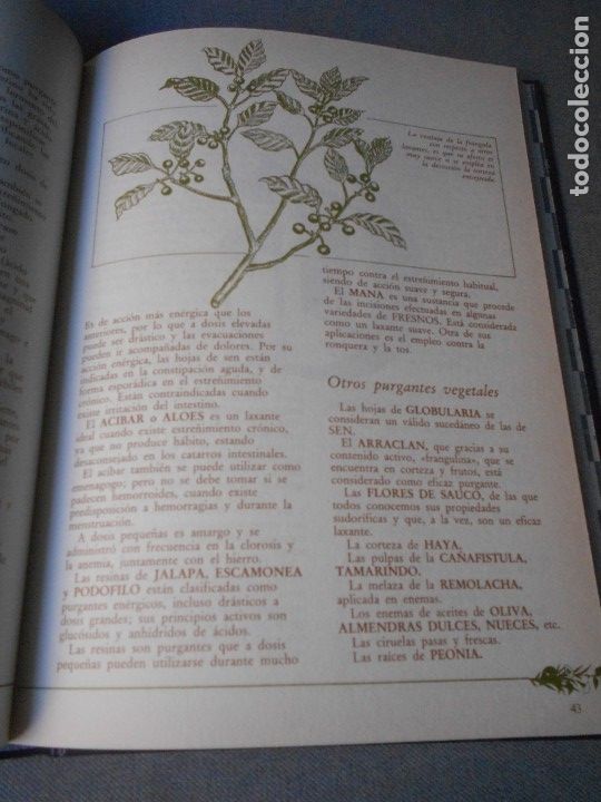 Libros de segunda mano: MEDICINA NATURAL. 8 TOMOS - Foto 48