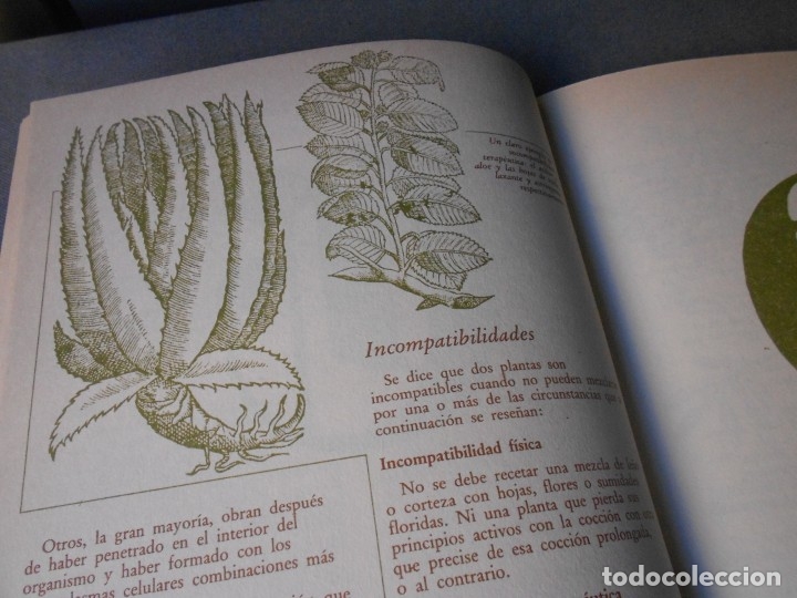 Libros de segunda mano: MEDICINA NATURAL. 8 TOMOS - Foto 49