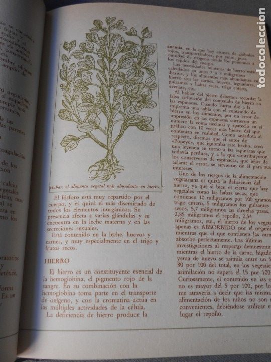 Libros de segunda mano: MEDICINA NATURAL. 8 TOMOS - Foto 50