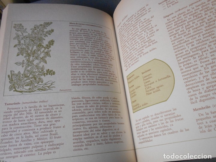 Libros de segunda mano: MEDICINA NATURAL. 8 TOMOS - Foto 51