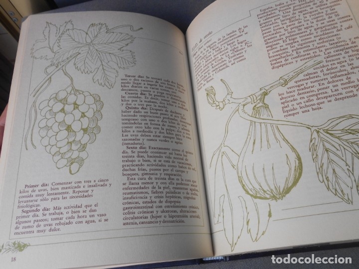 Libros de segunda mano: MEDICINA NATURAL. 8 TOMOS - Foto 52