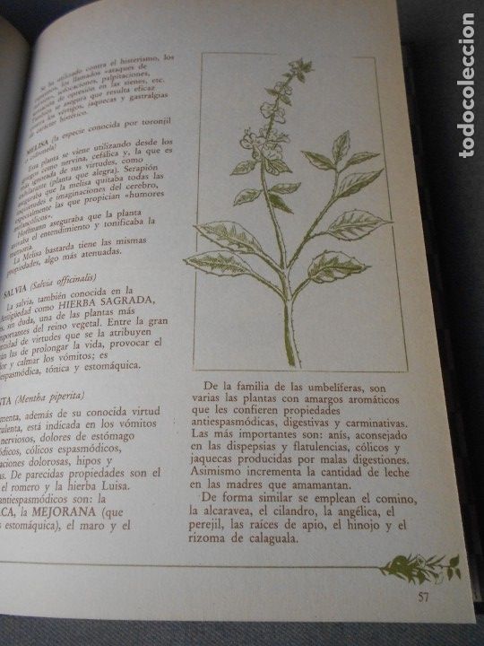 Libros de segunda mano: MEDICINA NATURAL. 8 TOMOS - Foto 53