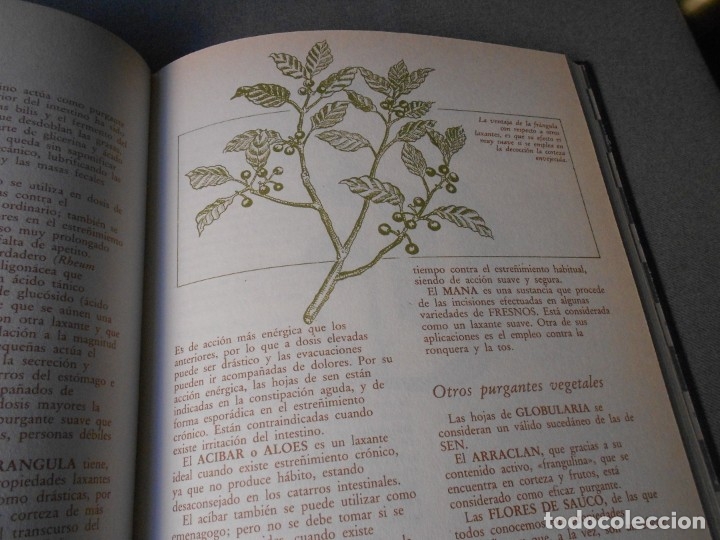 Libros de segunda mano: MEDICINA NATURAL. 8 TOMOS - Foto 54