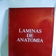 Libros de segunda mano: LIBRO LAMINAS DE ANATOMIA APARATO RESPIRATORIO OMEGA FARMACEUTICA. Lote 186019898