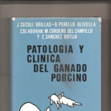 Libros de segunda mano: 256. PATOLOGIA Y CLINICA DEL GANADO PORCINO. Lote 188496470