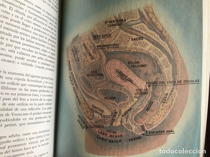 Libros de segunda mano: Libro de la Vida Sexual. L&oacute;pez Ibor. 1968. ASM - Foto 6