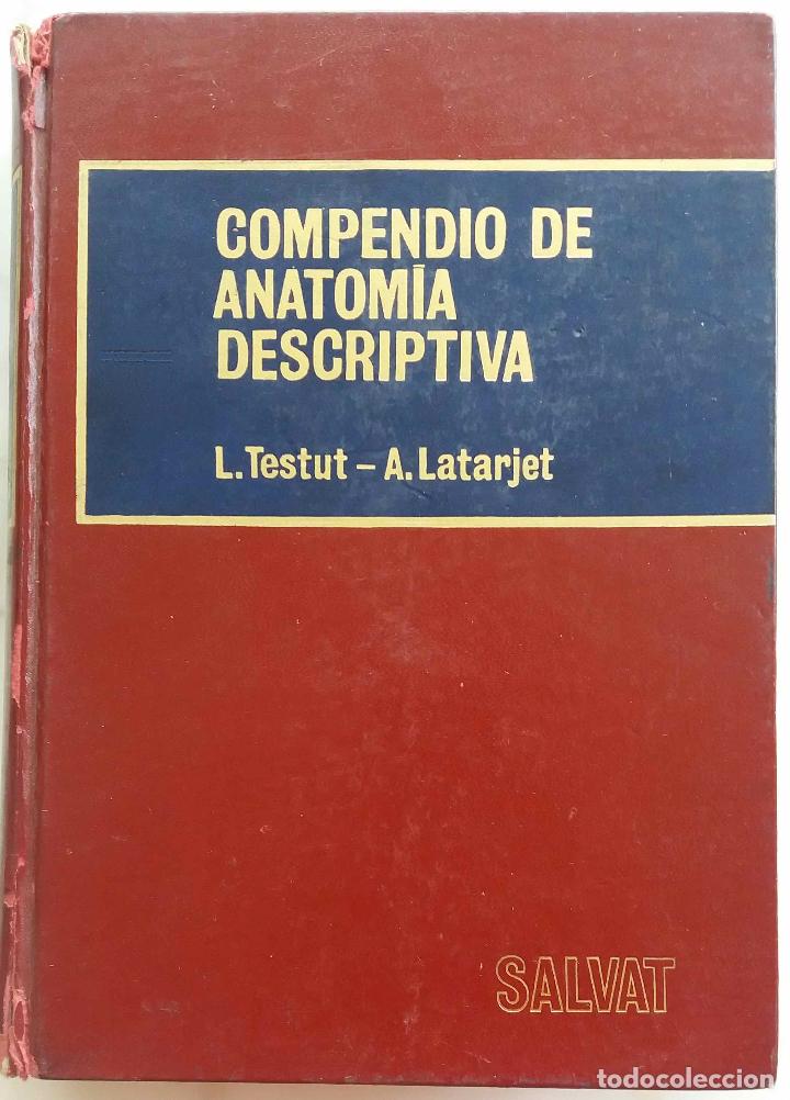 Compendio De Anatomía Descriptiva, L Testut, A - Comprar Libros De ...