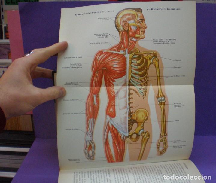 Libros de segunda mano: Enciclopedia familiar de Medicina y Salud - 2 Tomos - Morris Fishbein - Ed Stuttman 1967