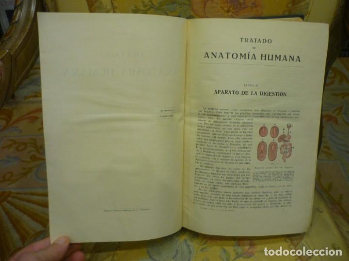 Tratado De Anatomía Humana, De L. Testut Y A. L - Comprar Libros De ...