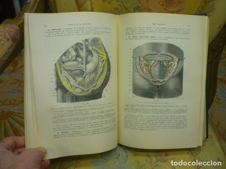 Tratado De Anatomía Humana, De L. Testut Y A. L - Comprar Libros De ...