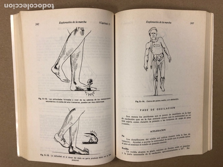 exploración física de la columna vertebral y la - Comprar Libros de