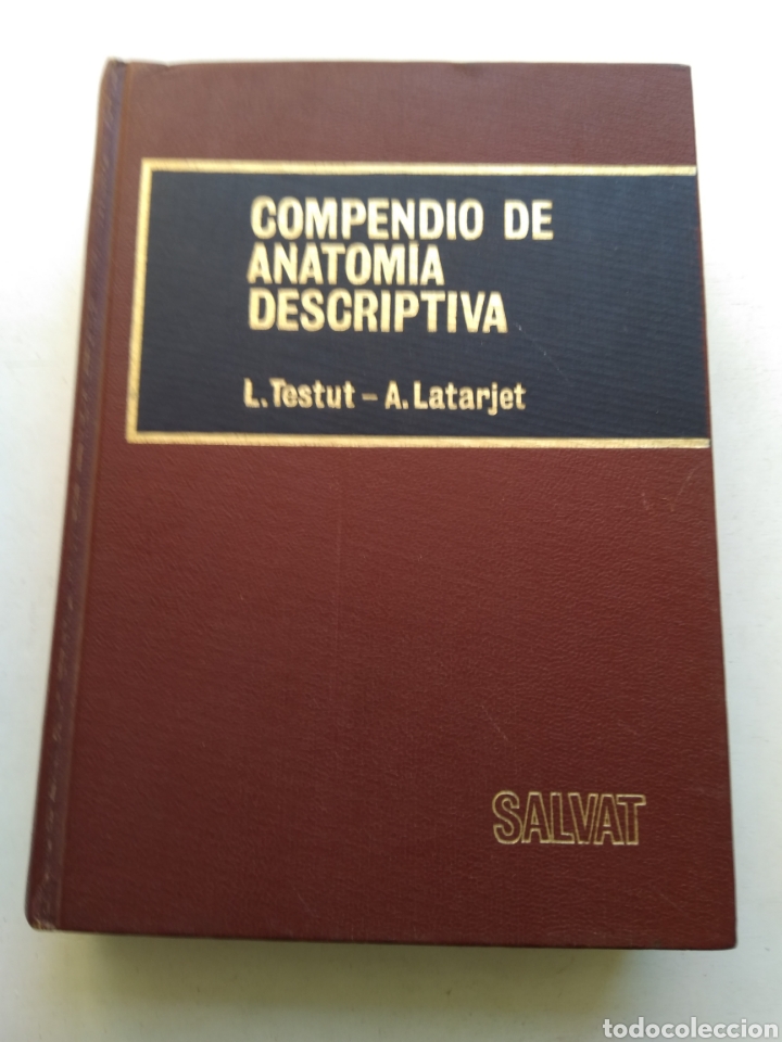 Libros de segunda mano: COMPENDIO DE ANATOM&Iacute;A DESCRIPTIVA - Foto 1