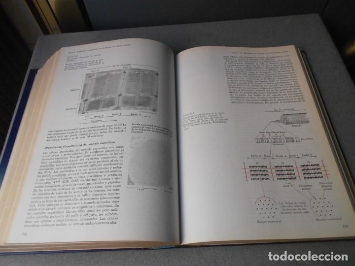Libros de segunda mano: BIOQUIMICA - Foto 3