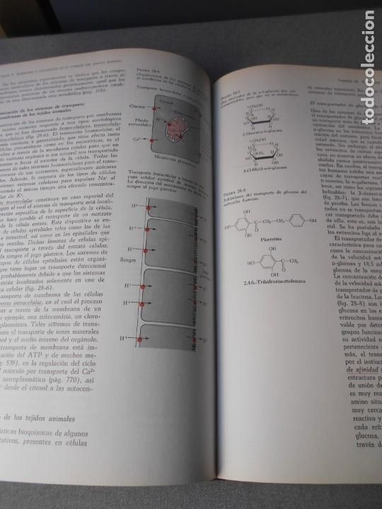 Libros de segunda mano: BIOQUIMICA - Foto 4