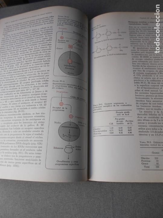Libros de segunda mano: BIOQUIMICA - Foto 5