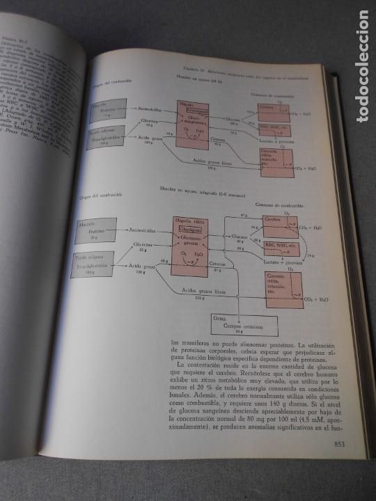 Libros de segunda mano: BIOQUIMICA - Foto 6
