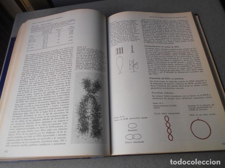 Libros de segunda mano: BIOQUIMICA - Foto 7