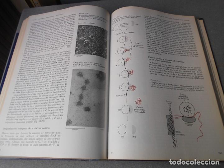 Libros de segunda mano: BIOQUIMICA - Foto 8