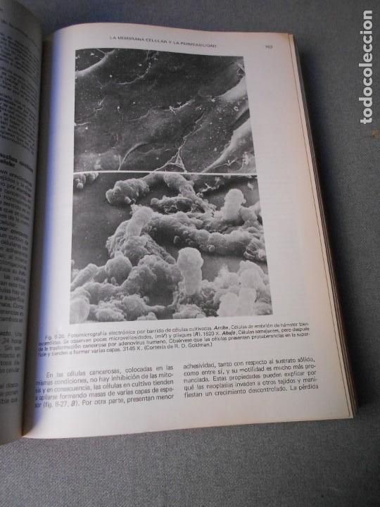 Libros de segunda mano: BIOLOGIA CELULAR Y MOLECULAR - Foto 4