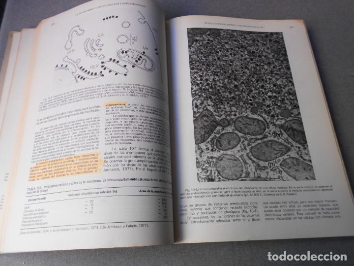 Libros de segunda mano: BIOLOGIA CELULAR Y MOLECULAR - Foto 5