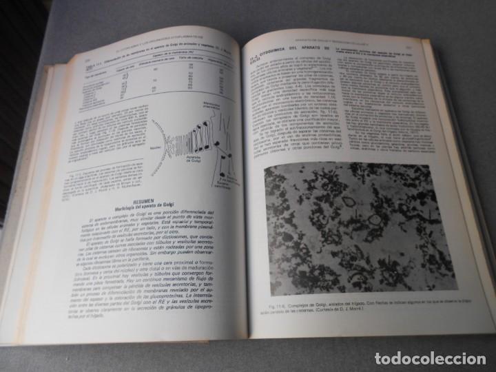 Libros de segunda mano: BIOLOGIA CELULAR Y MOLECULAR - Foto 6