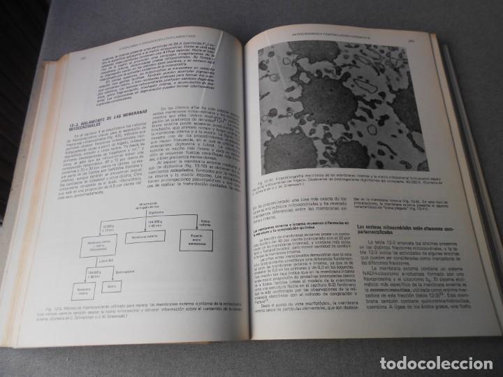Libros de segunda mano: BIOLOGIA CELULAR Y MOLECULAR - Foto 7