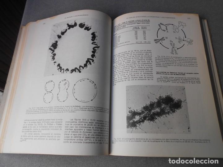 Libros de segunda mano: BIOLOGIA CELULAR Y MOLECULAR - Foto 8