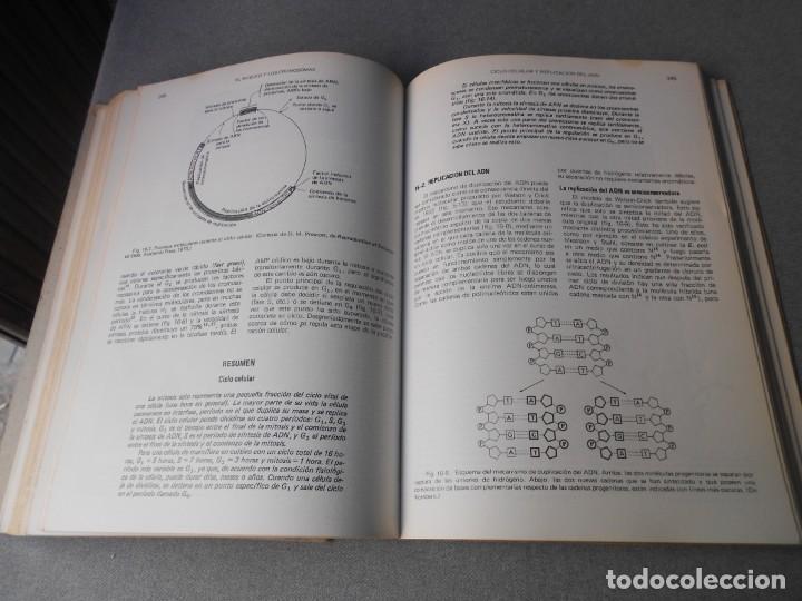 Libros de segunda mano: BIOLOGIA CELULAR Y MOLECULAR - Foto 9