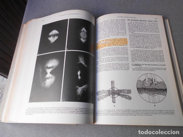 Libros de segunda mano: BIOLOGIA CELULAR Y MOLECULAR - Foto 10