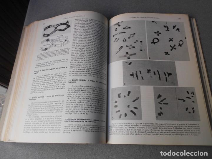 Libros de segunda mano: BIOLOGIA CELULAR Y MOLECULAR - Foto 11