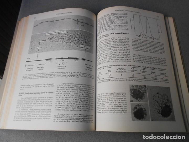 Libros de segunda mano: BIOLOGIA CELULAR Y MOLECULAR - Foto 12