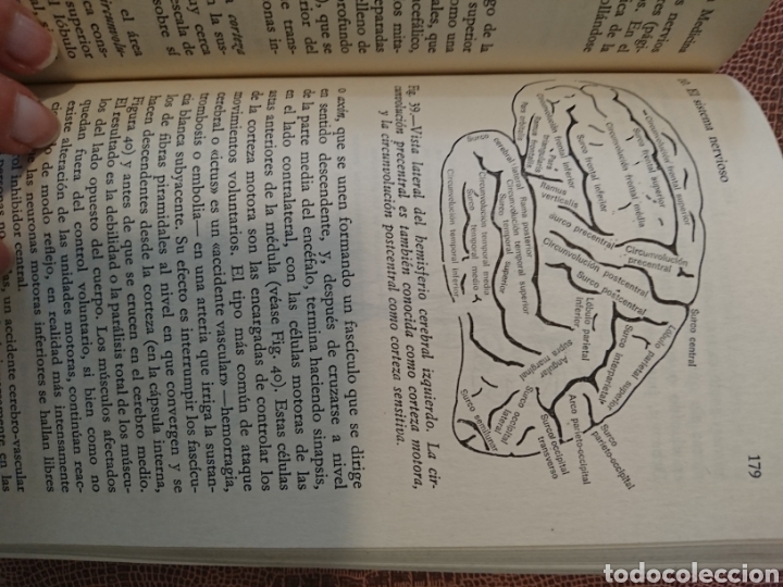 Libros de segunda mano: Introducci&oacute;n a la medicina - Foto 3