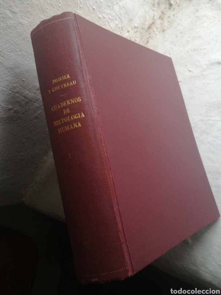 Gebrauchte B&uuml;cher: Cuadernos de histolog&iacute;a humana Poirier y Chevreau tapa dura tela editorial