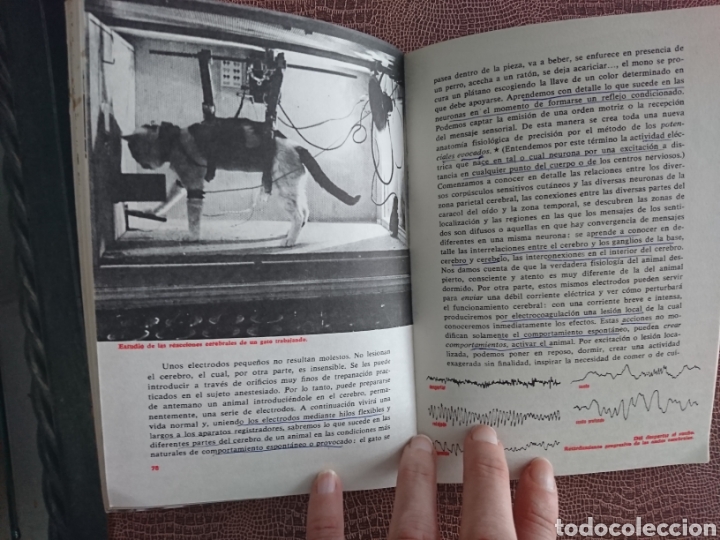 Libros de segunda mano: El cerebro y la conciencia - Foto 3