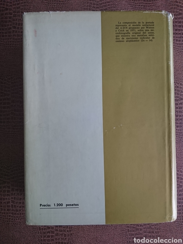 Libros de segunda mano: Gen&eacute;tica - Foto 2