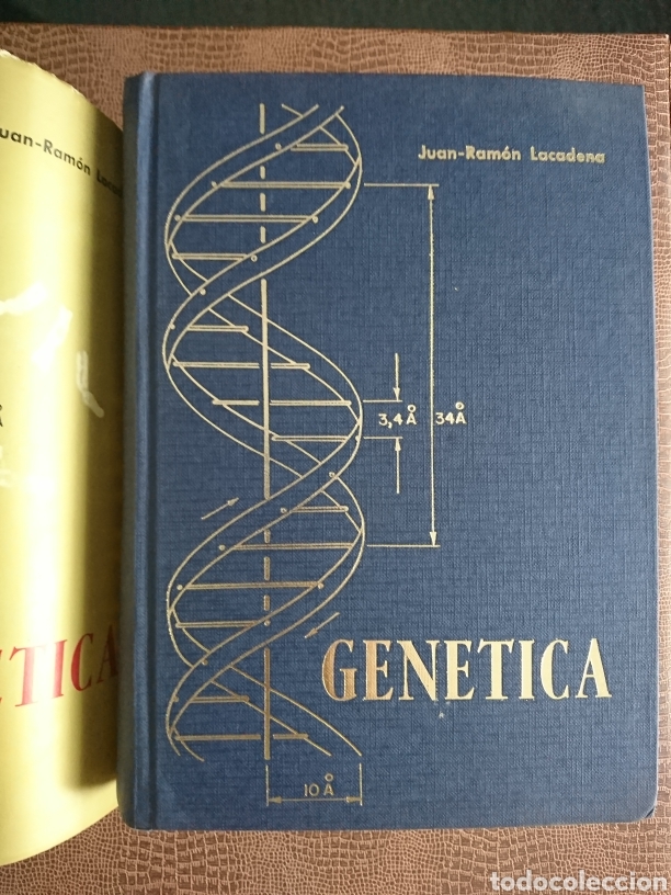 Libros de segunda mano: Gen&eacute;tica - Foto 3